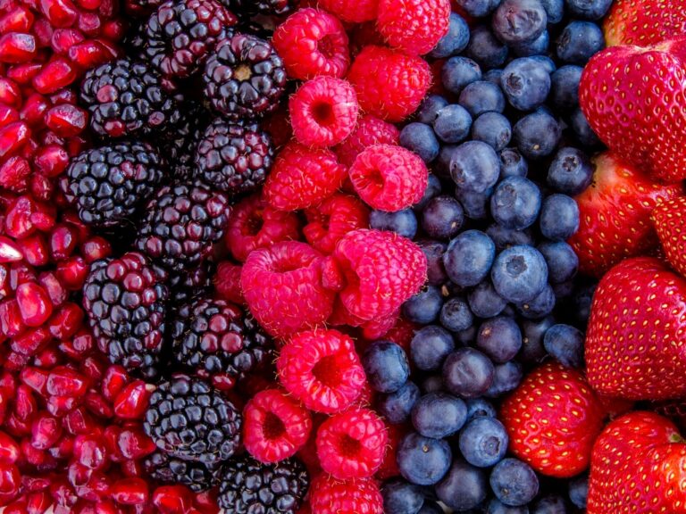 RZTO installation at Dubai-based berry farm