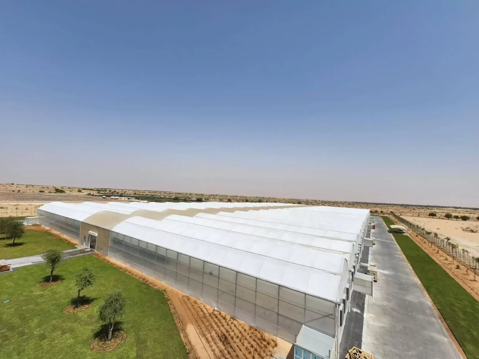 Read more about the article ELITE PROJECTS COFFEE FARM, UAE